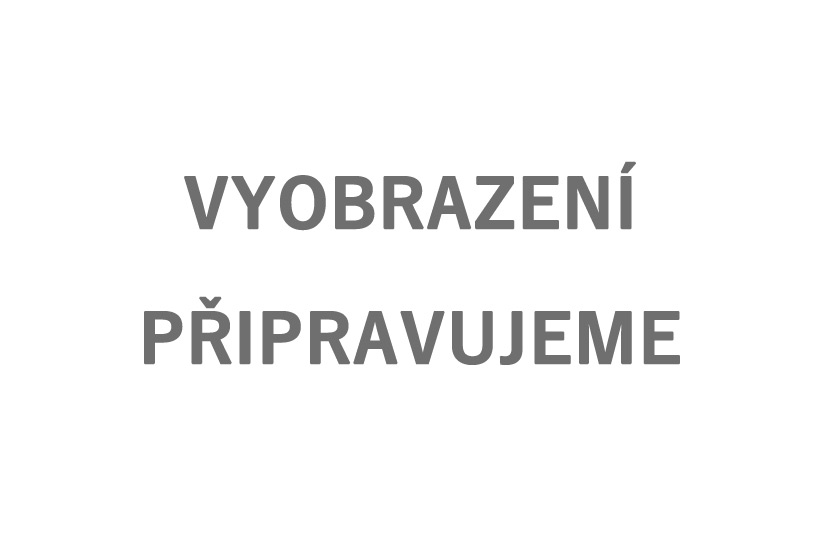 pobočka - Slaný